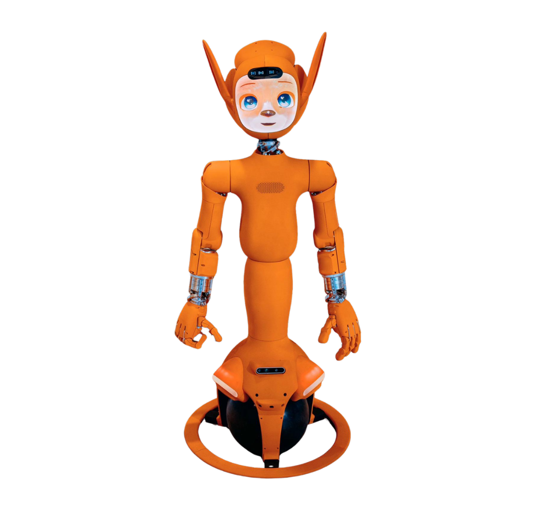 Mirokai expressive social robot